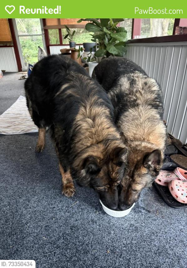 Reunited Unknown Dog last seen Near and route 100 west Chester, West Chester, PA 19383