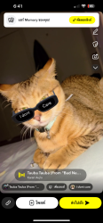 Lost Male Cat last seen : Nearest Cross Streets, Landmark, or Location: Tennessee–Alabama State Line / I-65 near Tennessee Welcome Center, Elkmont, AL 35620