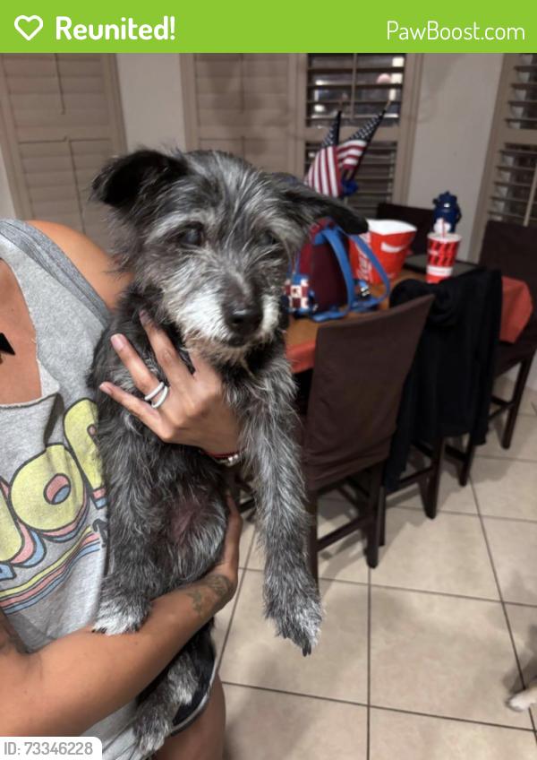 Reunited Male Dog last seen Spanish Point Dr. and John Hayes, El Paso, TX 79938