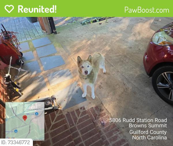Reunited Unknown Dog last seen Scott Road, Browns Summit, NC 27214