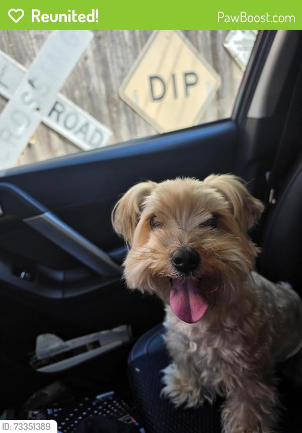 Reunited Male Dog last seen Wade Dr and Annette, Bedford, TX 76022