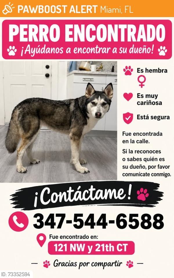 Found/Stray Female Dog last seen nW 121st and 21th ct, Miami, FL 33167