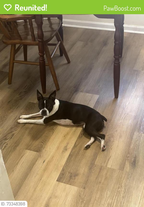 Reunited Female Dog last seen Cross Lanes Drive Timber Creek Lane, Nitro, WV 25143