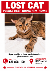 Lost Male Cat last seen inside the hidden canyon community, Irvine, CA 92618