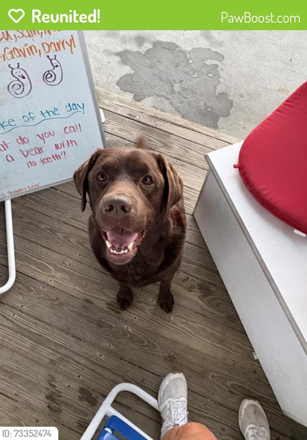 Reunited Male Dog last seen Roton Point, Norwalk, CT 06853