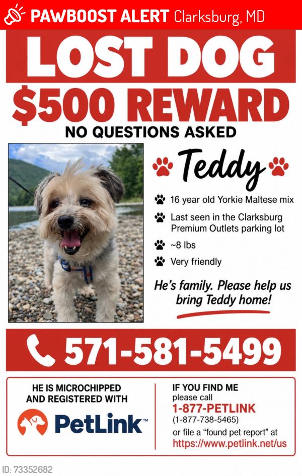 Lost Male Dog last seen Clarksburg Premium Outlet Parking Lot, Clarksburg, MD 20871