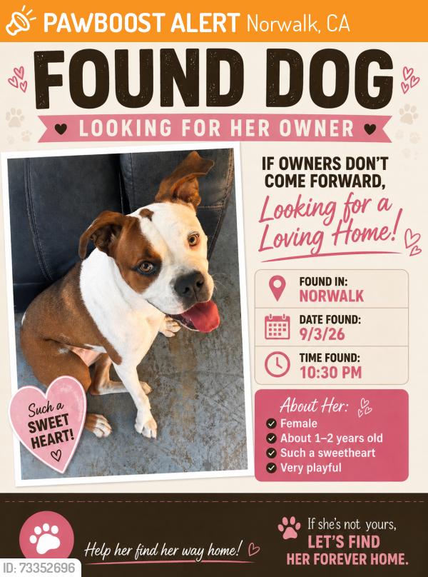 Found/Stray Female Dog last seen Norwalk, Norwalk, CA 90650