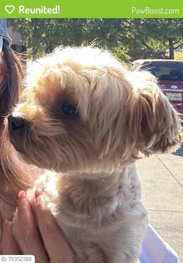 Reunited Female Dog last seen Trail Lake and Quail, Arlington, TX 76016