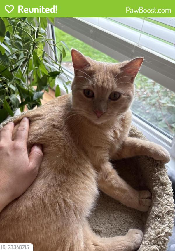 Reunited Male Cat last seen All of emerald, Saskatoon, SK S7J 4E4