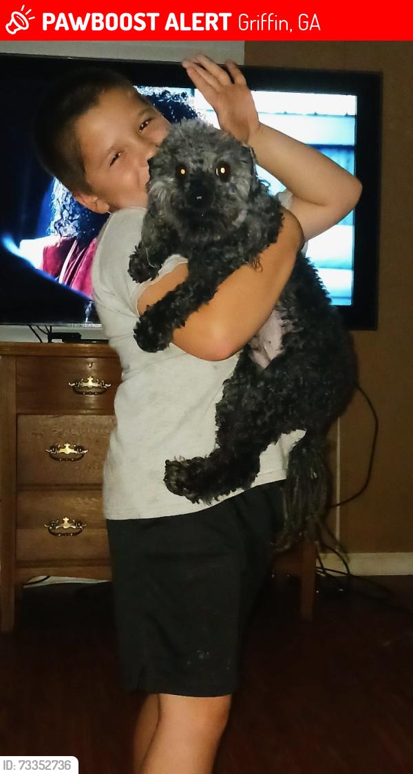 Lost Male Dog last seen Runaway lakes neighborhood, Griffin, GA 30224