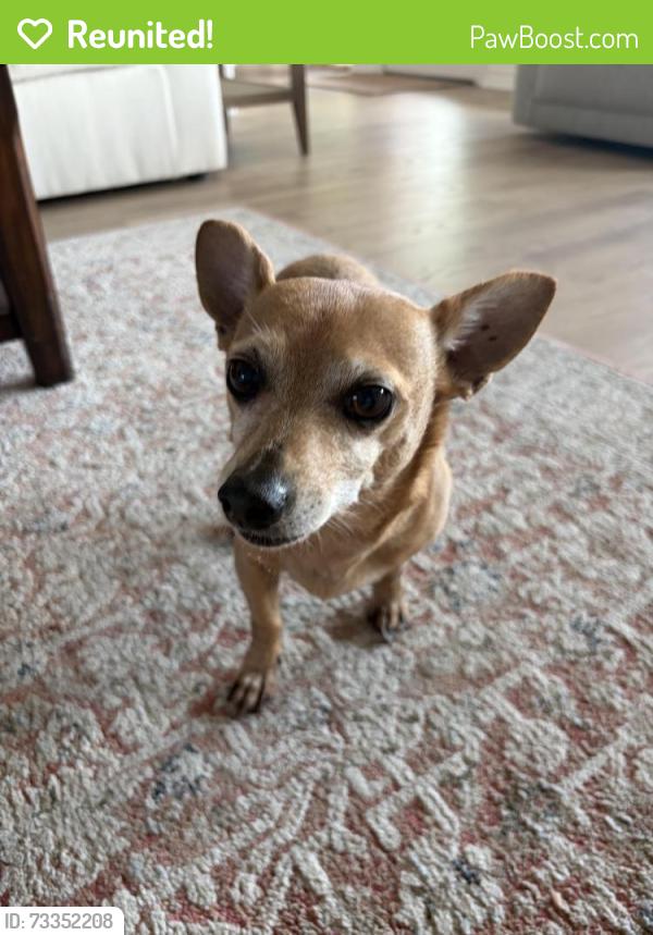 Reunited Male Dog last seen Walden Communiuty on Lake Conroe, Montgomery, TX 77356