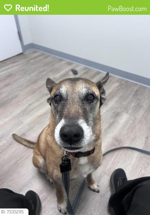 Reunited Male Dog last seen Little mill and Keith bridge, Cumming, GA 30041