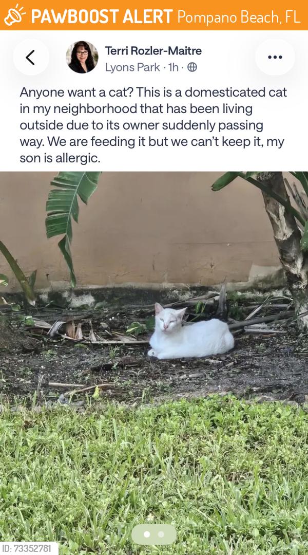 Found/Stray Unknown Cat last seen Lyon’s park, Pompano Beach, FL 33060