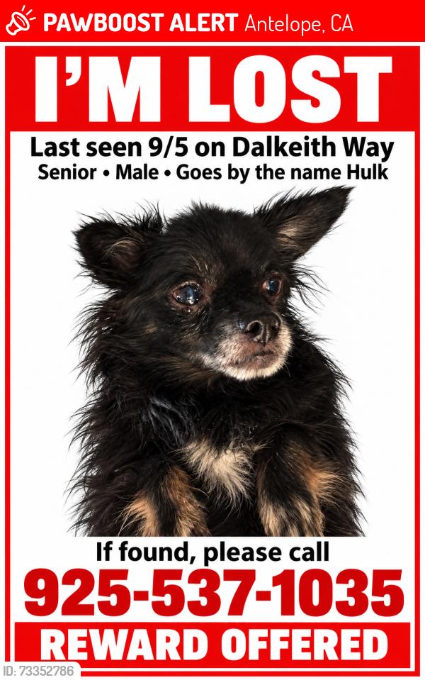 Lost Male Dog last seen Dalkeith way, Antelope, CA 95843