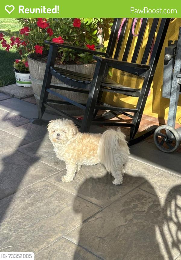 Reunited Female Dog last seen Near Waverly Ave, Hayward, CA 94541, USA, Hayward, CA 94541