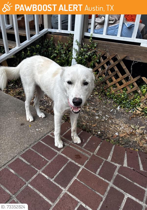 Found/Stray Male Dog last seen Ripple Run off of E William Cannon, Austin, TX 78744