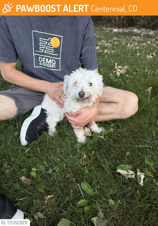 Found/Stray Male Dog last seen Peak view elementary, Centennial, CO 80015