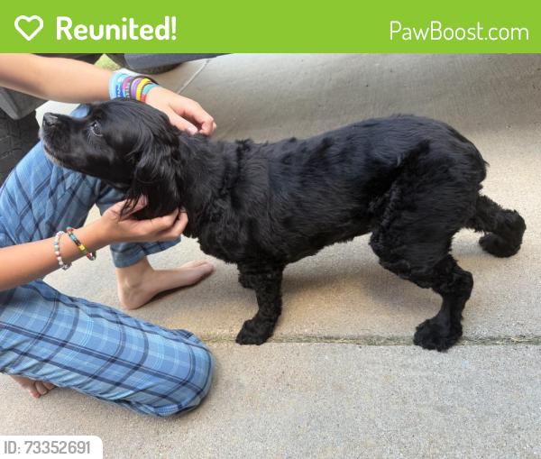 Reunited Unknown Dog last seen Wilshire, Burleson, TX 76028