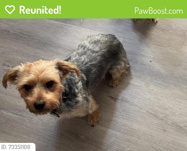 Reunited Male Dog last seen Nathan Hale Way, Louisville, KY 40272, USA, Louisville, KY 40272