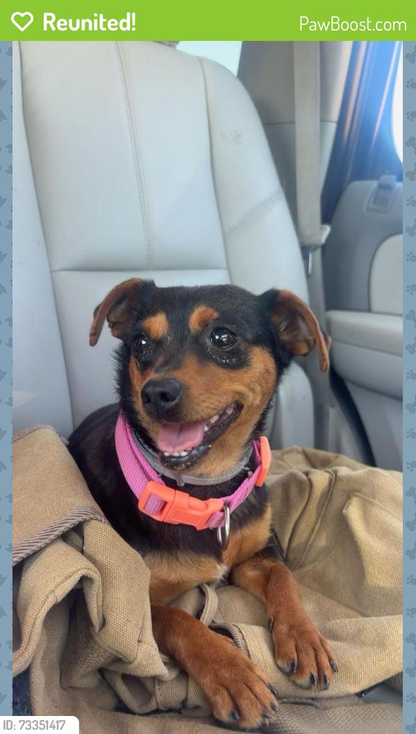 Reunited Female Dog last seen hale marina lake, Fort Berthold, ND 58757