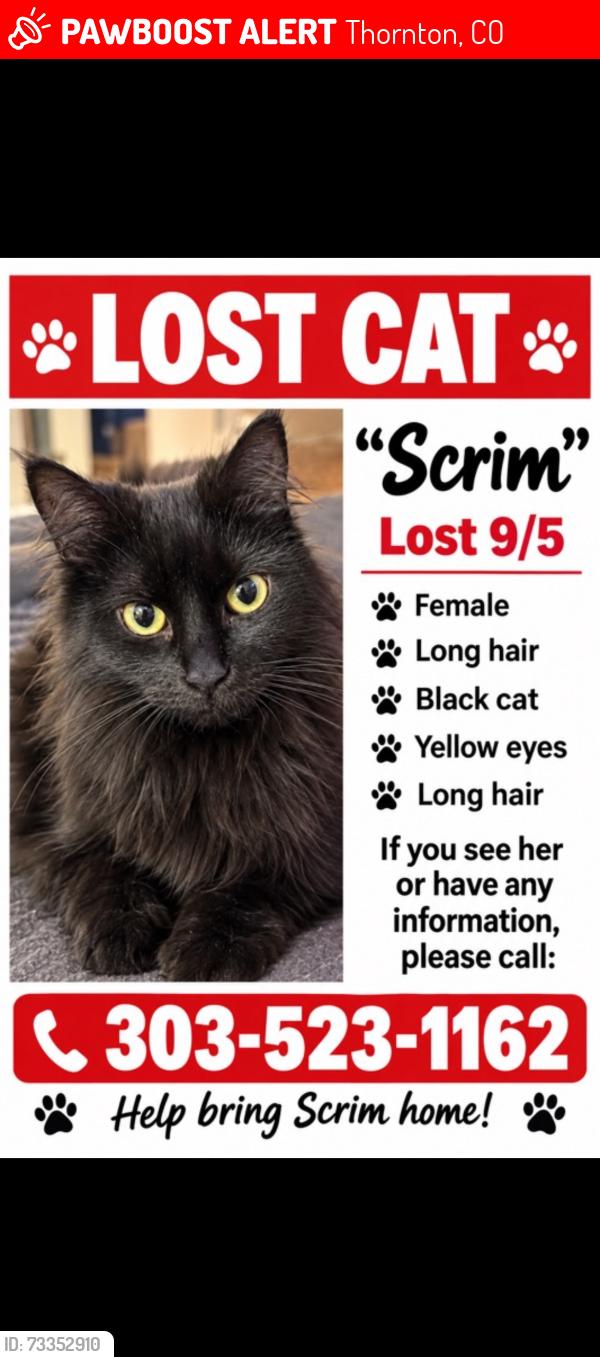Lost Female Cat last seen Eastlake, Thornton, CO 80241