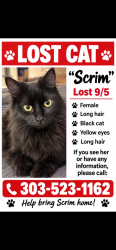 Lost Female Cat last seen Eastlake, Thornton, CO 80241