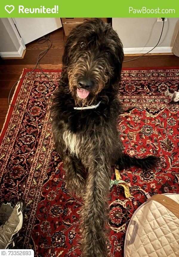 Reunited Male Dog last seen Mason District Park, Annandale, VA, Fairfax County, VA 22003