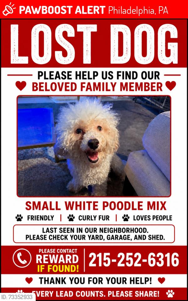 Lost Male Dog last seen Haverford and aspen, Philadelphia, PA 19139