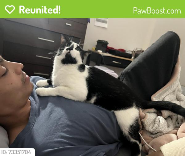 Reunited Female Cat last seen Mural apmts, Quick Trip, Aurora, CO 80011