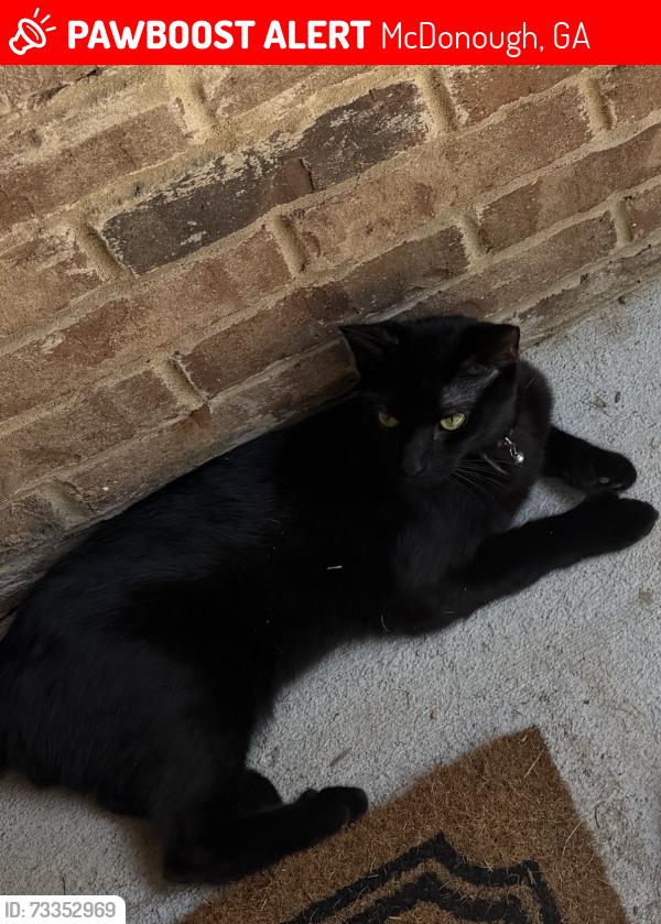 Lost Male Cat last seen Baylor Circle McDonough GA, McDonough, GA 30253