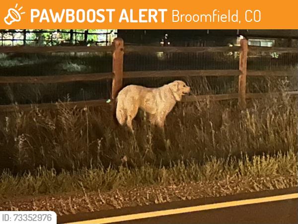 Found/Stray Unknown Dog last seen W 154th Ave and Huron Street, Broomfield, CO 80023