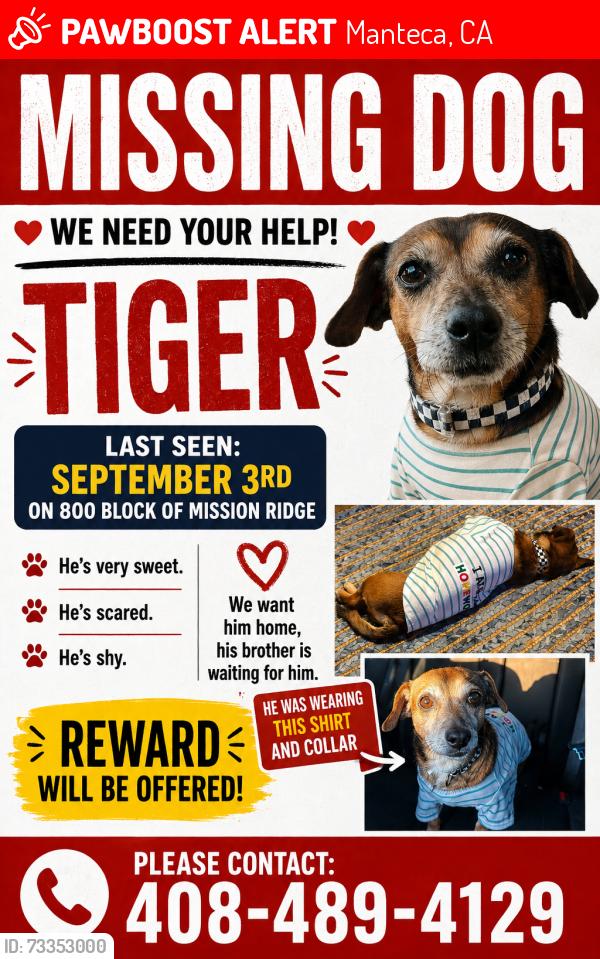 Lost Male Dog last seen Locust Ave, Manteca, CA 95337
