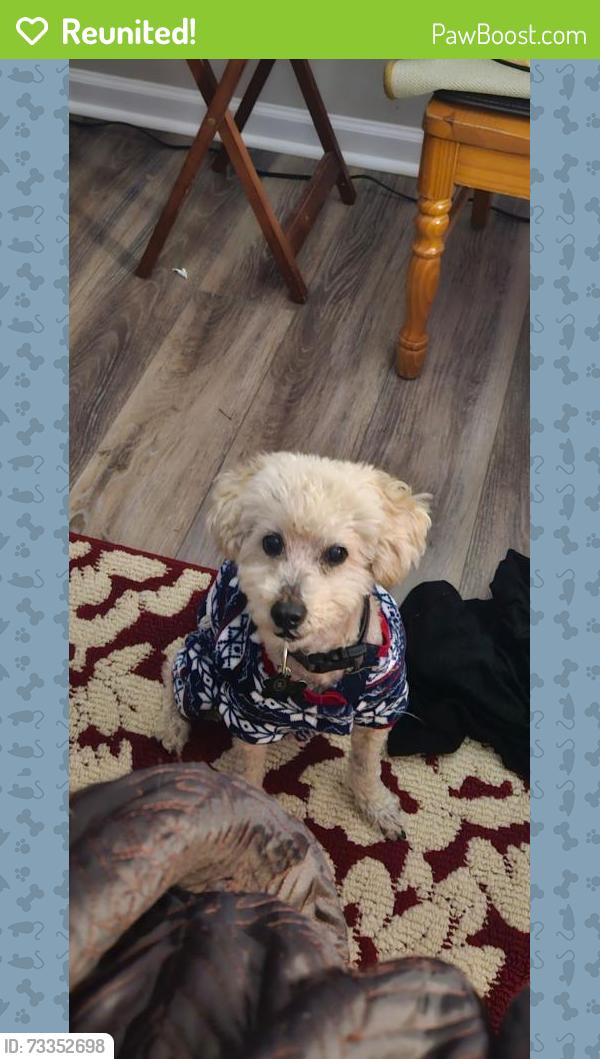 Reunited Male Dog last seen Jefferson Park, East Point, GA 30344