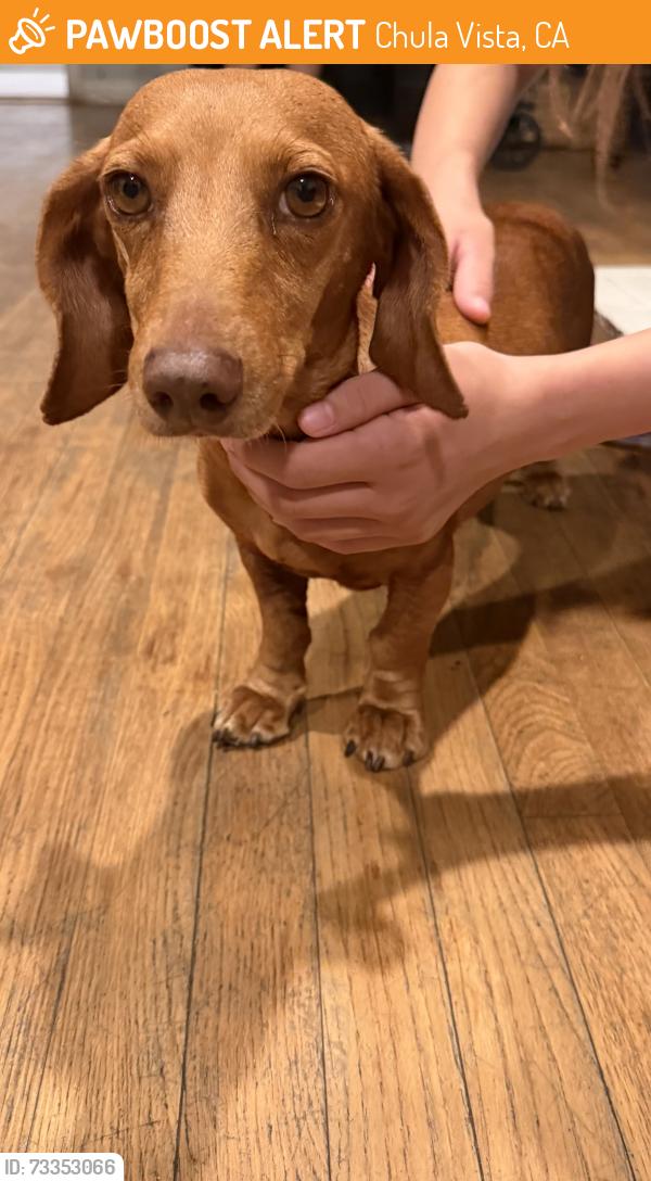 Found/Stray Unknown Dog last seen J st Chula Vista, Chula Vista, CA 91910