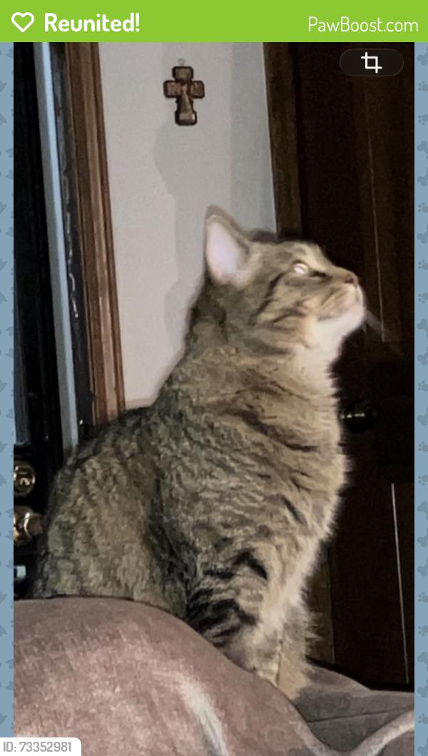 Reunited Male Cat last seen Near S. Hannibal st Aurora CO. 80013, Aurora, CO 80013