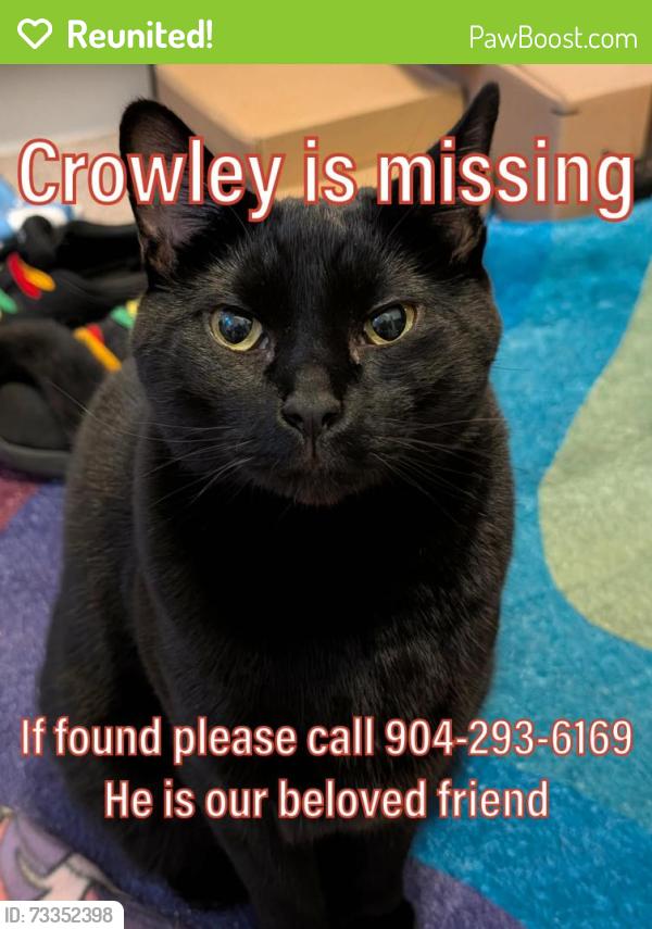 Reunited Male Cat last seen Greystone lane, douglasville GA 30134, Douglas County, GA 30134