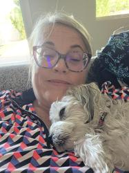 Reunited Female Dog last seen East Monterey Way a d Earll, Scottsdale, AZ 85251