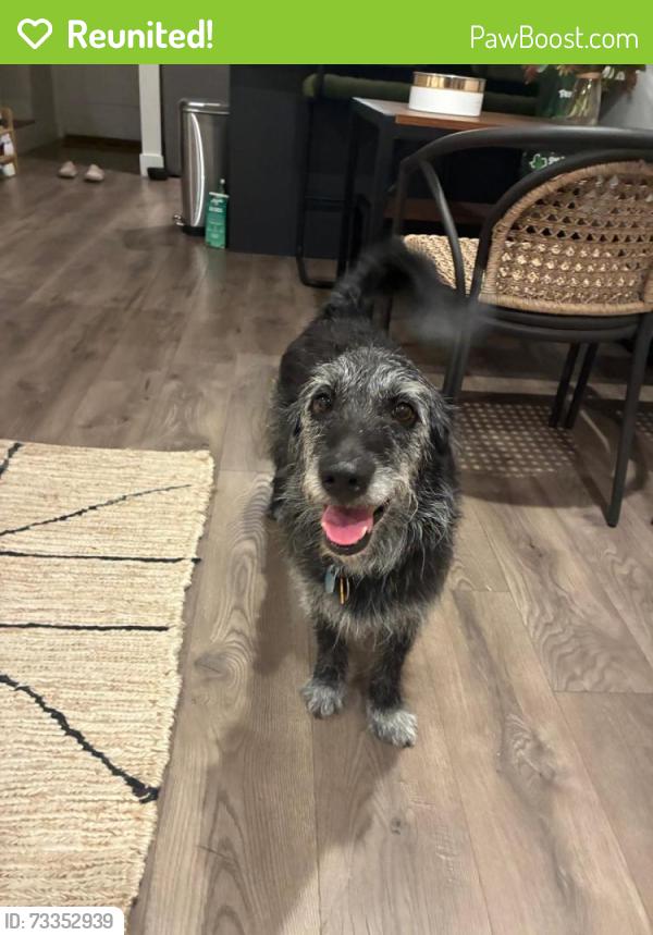 Reunited Male Dog last seen Southway drive, Austin, TX 78704