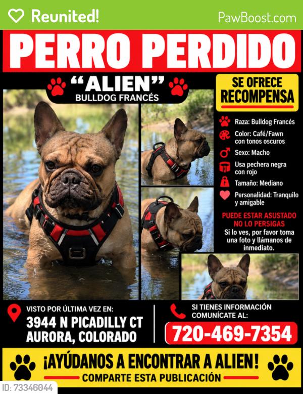 Reunited Male Dog last seen Near n picadilly ct, Aurora, CO 80019