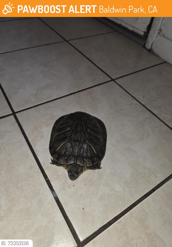 Found/Stray Unknown Other last seen Los angeles st y merced, Baldwin Park, CA 91706