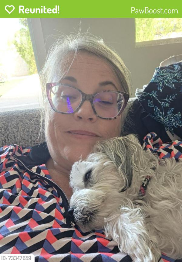 Reunited Female Dog last seen East Monterey Way a d Earll, Scottsdale, AZ 85251