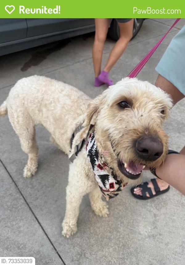 Reunited Male Dog last seen NW 178th in between MacArthur and Rockwell, Oklahoma County, OK 73012