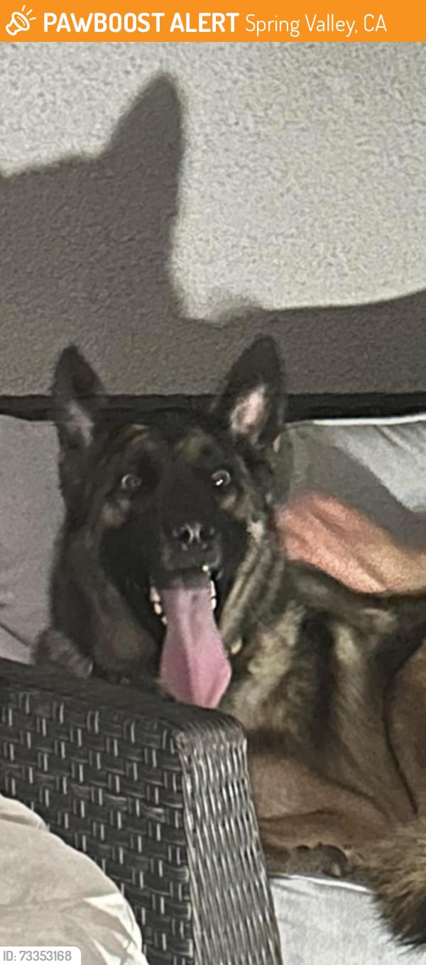 Found/Stray Male Dog last seen Osage st, Spring Valley, CA 92114
