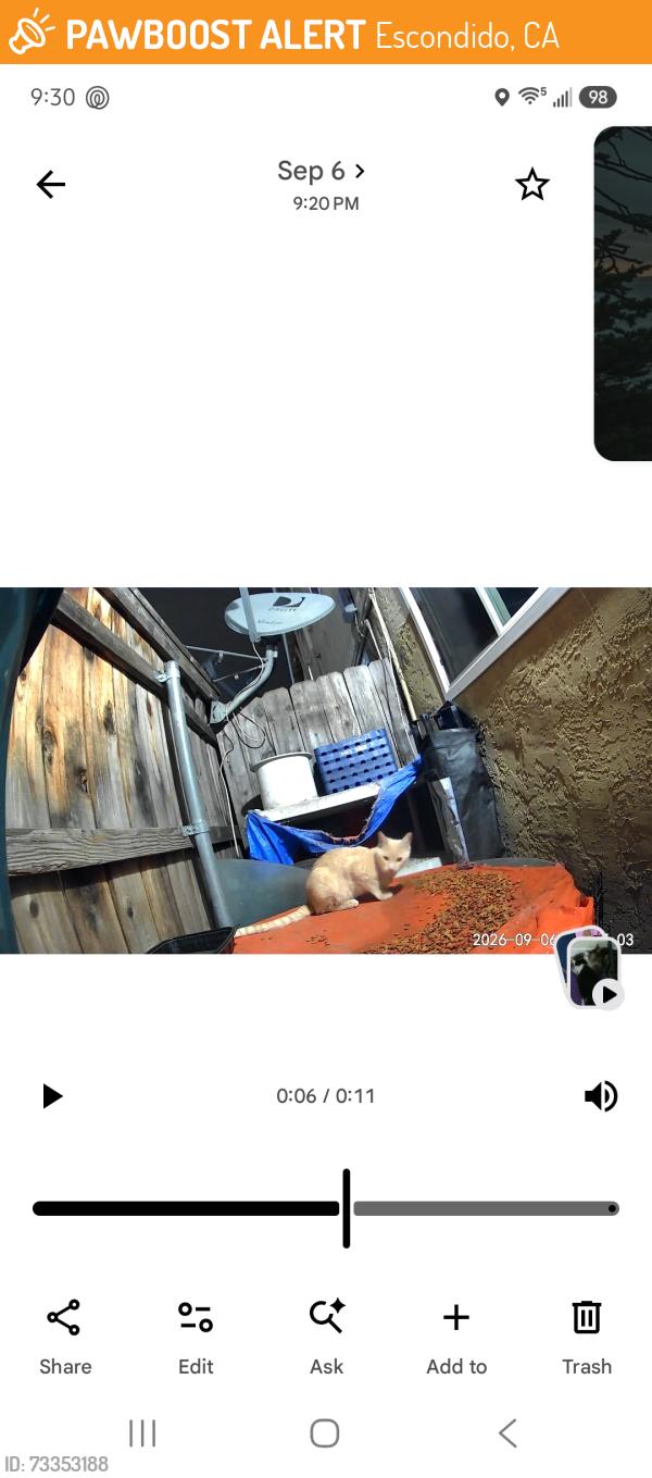 Found/Stray Unknown Cat last seen Fig and Ash, Escondido, CA 92025