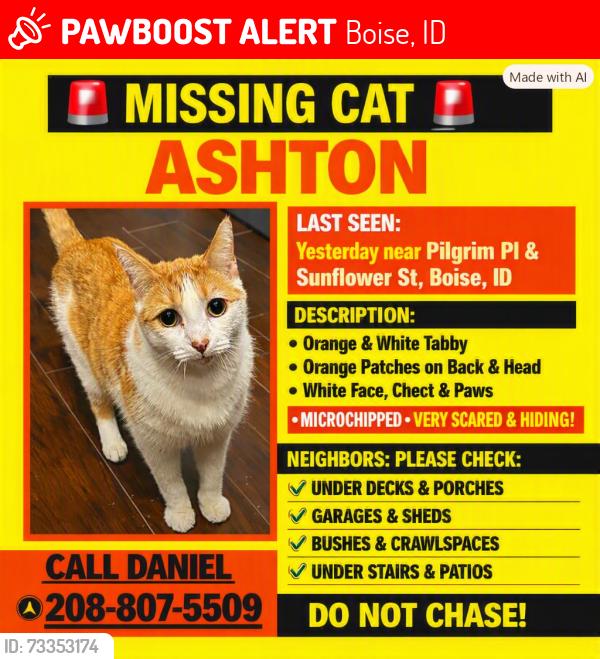 Lost Male Cat last seen Pilgrim pl and sunflower st, Boise, ID 83704