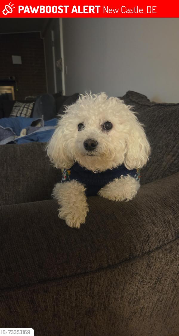Lost Male Dog last seen Pennewill Dr, New Castle, DE 19720