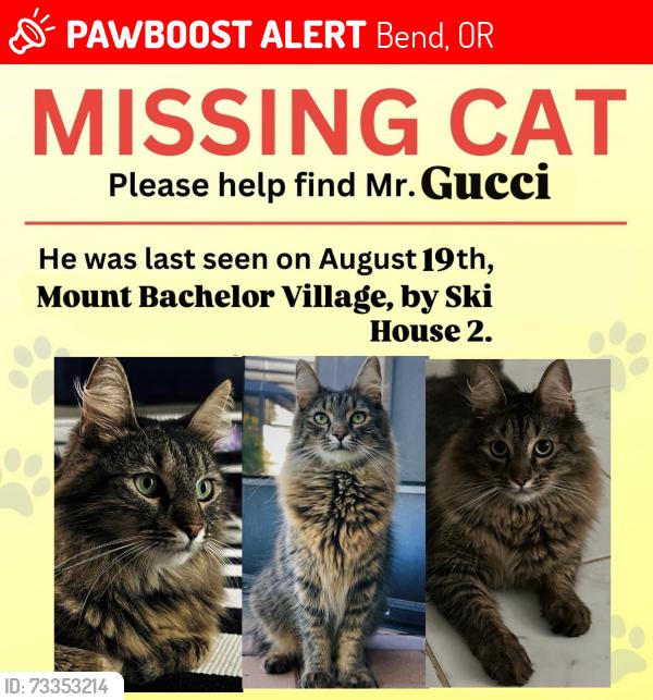 Lost Male Cat last seen SW Mount Bachelor Dr & Athletic Club Dr, near Mount Bachelor Village Resort (Ski hse 2), Bend, OR 97702