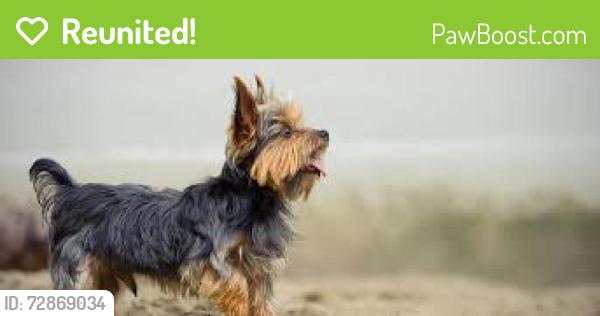 Reunited Unknown Dog last seen Wilson Rd. Brownsburg IN, Whitestown, IN 46278