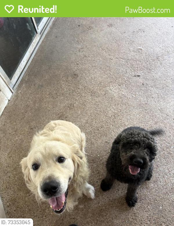 Reunited Male Dog last seen Wood River Rd, Spring, TX 77373
