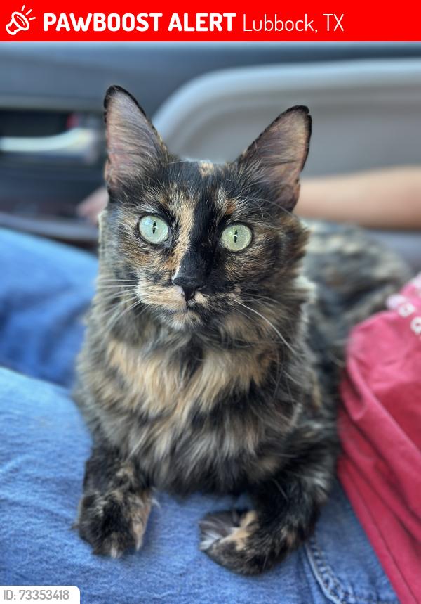 Lost Female Cat last seen The hotel property sits directly on the South Loop 289 Frontage Road, positioned just north of W 74th Street and directly between Memphis Avenue to the east and Orlando Avenue to the west., Lubbock, TX 79423